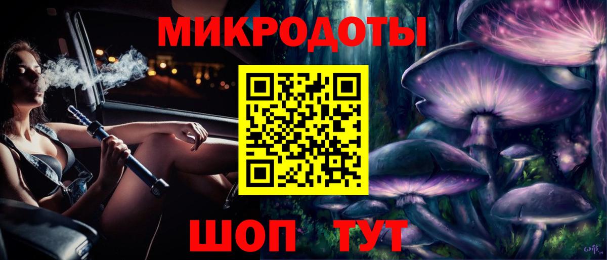 Псилоцибиновые грибы Psilocybine cubensis Ставрополь